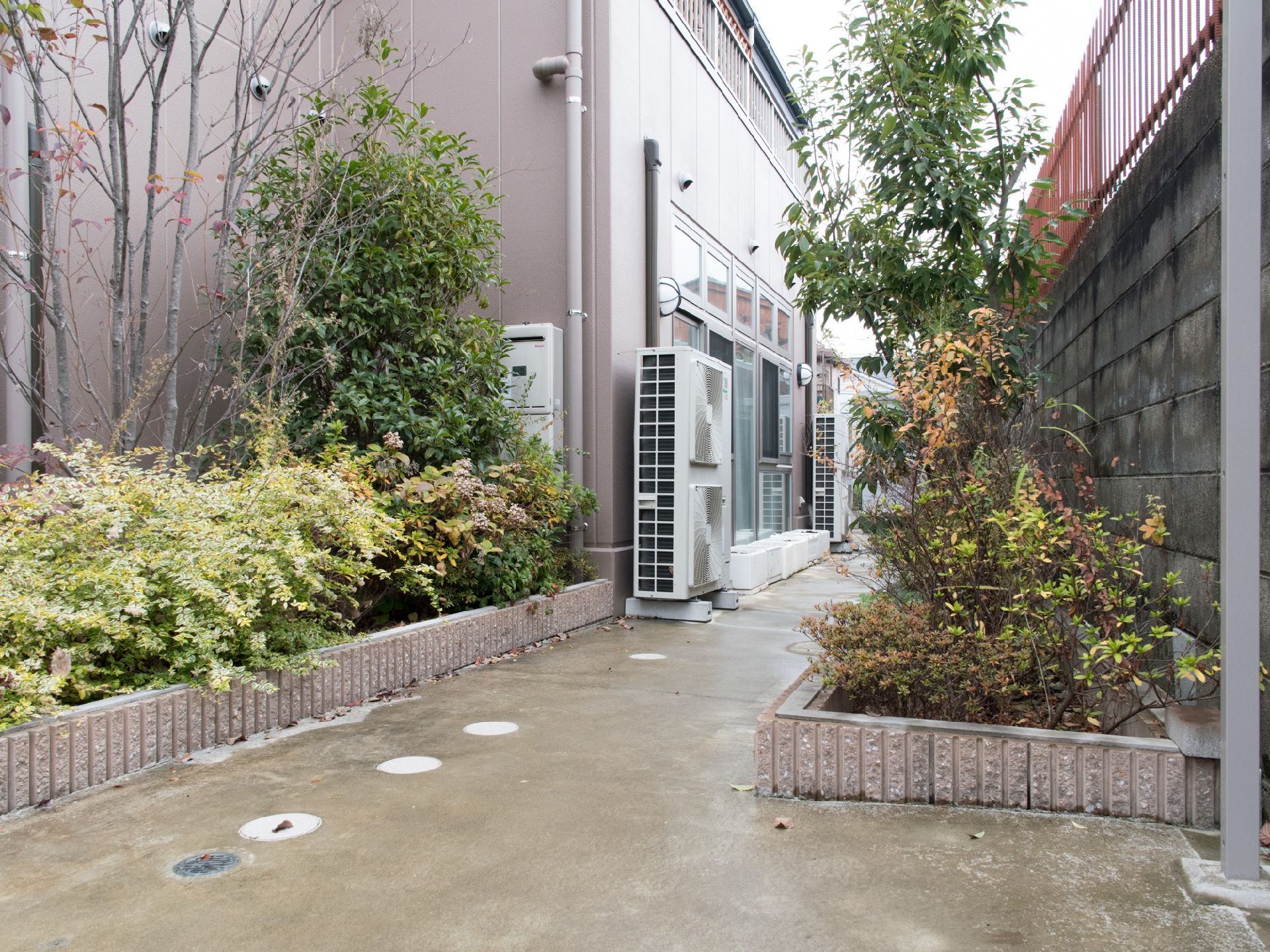 施設とブロック塀の間に路地があり、コンクリートできれいに舗装がされている。植栽されており、左右に様々な木がある。