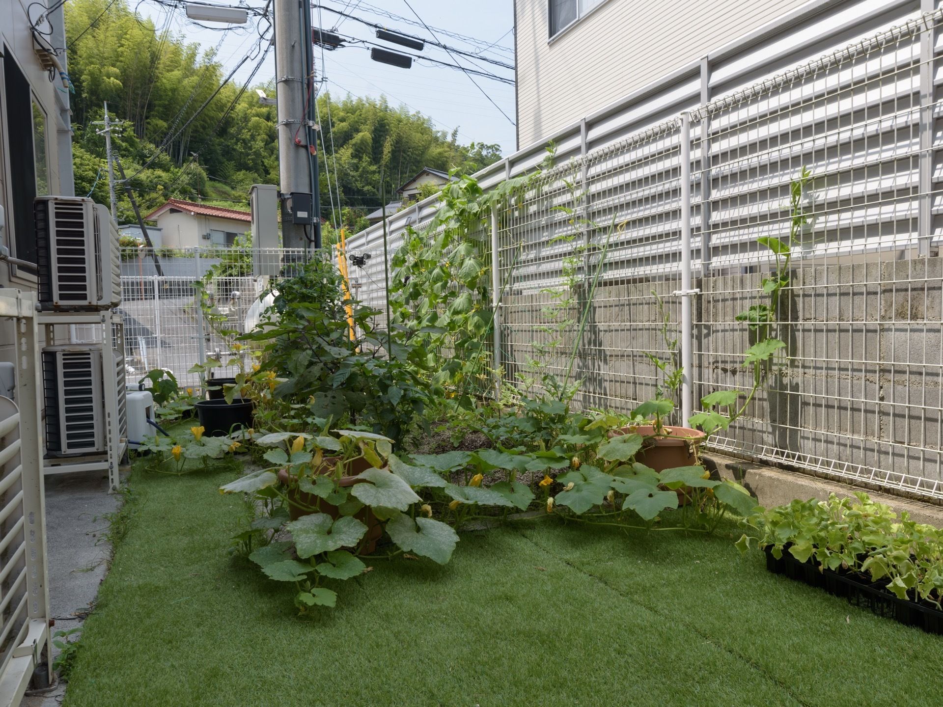 人工芝が敷かれたスペースがある。ここには複数のプランターが置かれており、種類の異なる植物が育てられている。