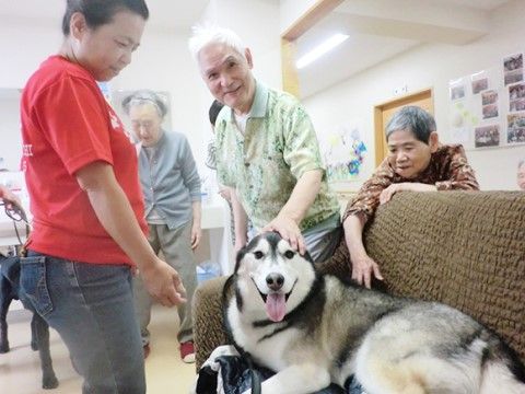 ソファの上に横たわっている大きな犬の頭をなだている入居者様