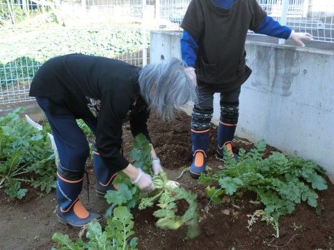 「愛の家グループホーム 宮前野川」菜園。庭にある菜園で野菜を育てている。