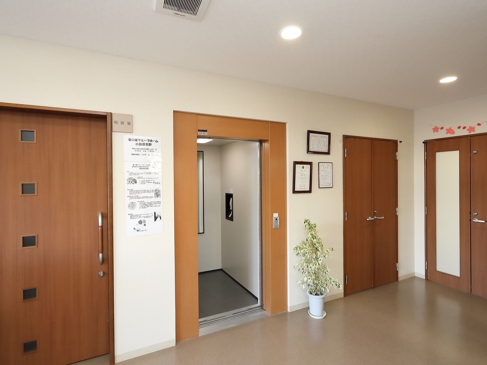 エレベーターの出入口に、木目調の枠が設置されている。そばに白色の鉢に植えられた、観葉植物が置かれてある。