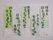 入居者様の川柳が掲示されている。各人が知恵を出し、面白おかしく読んでいる様子が伺えるものになっている。