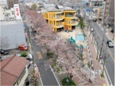 施設の近くには、「水道みち緑道」があり、時期がくれば満開の桜を楽しめ、春の訪れを感じることができる。