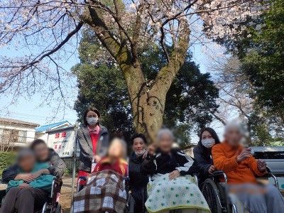 桜の木の下での集い