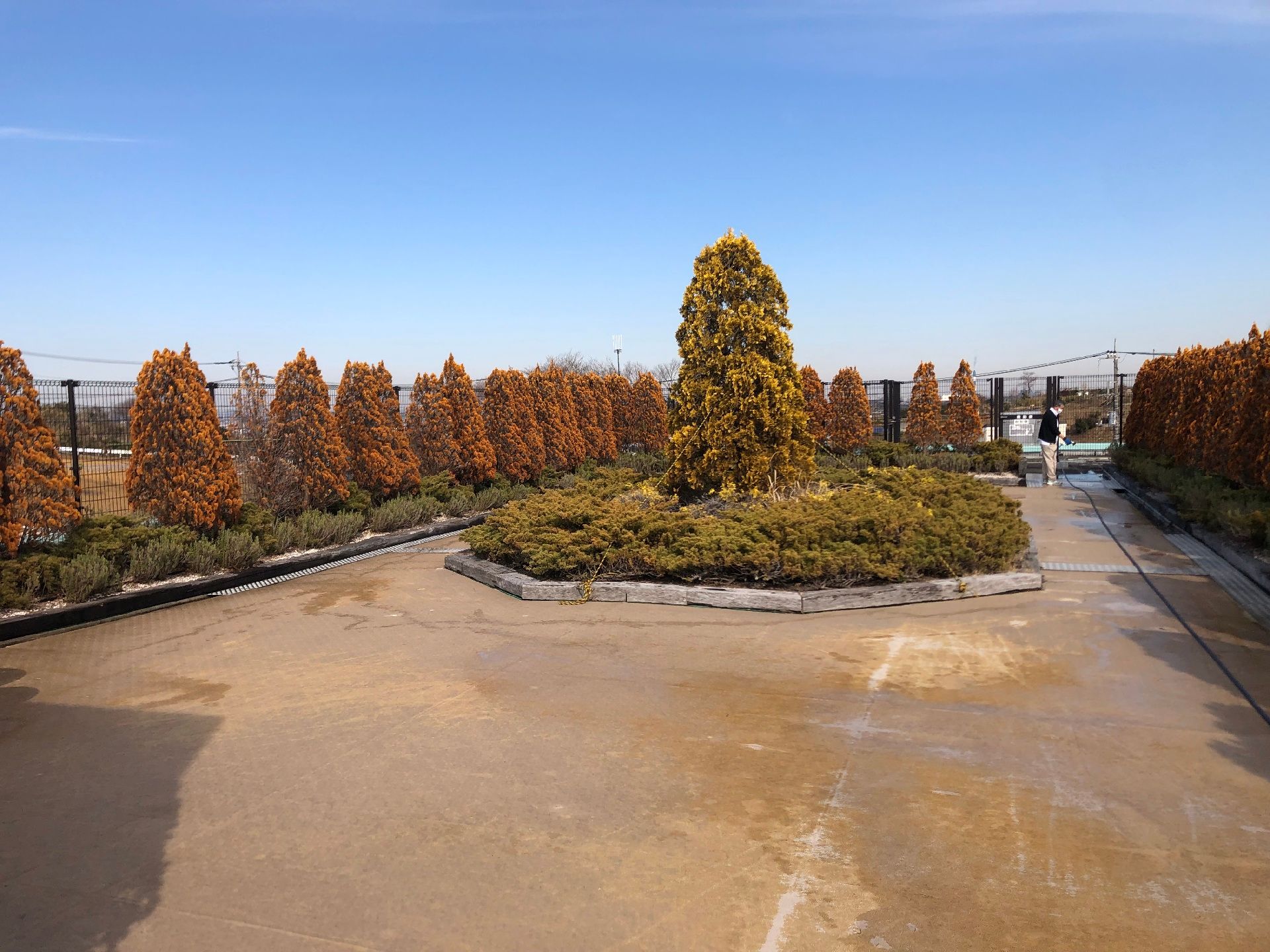 庭園付きの居室