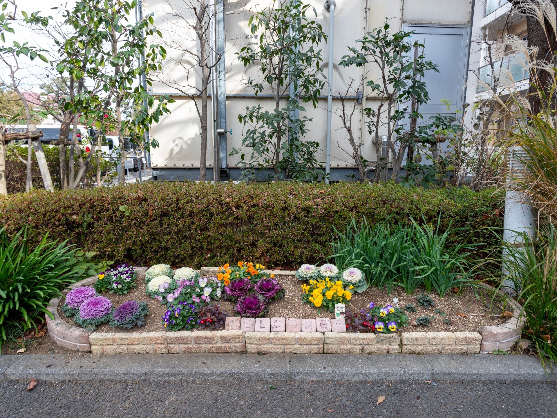 花壇と緑の中庭