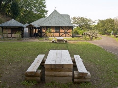 緑豊かな庭の景色
