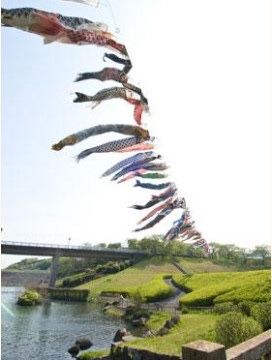 川沿いの鯉のぼり