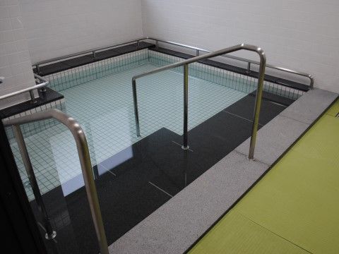 手すりにつかまりながら入る階段と三方の壁にも手すりの付いた大浴場