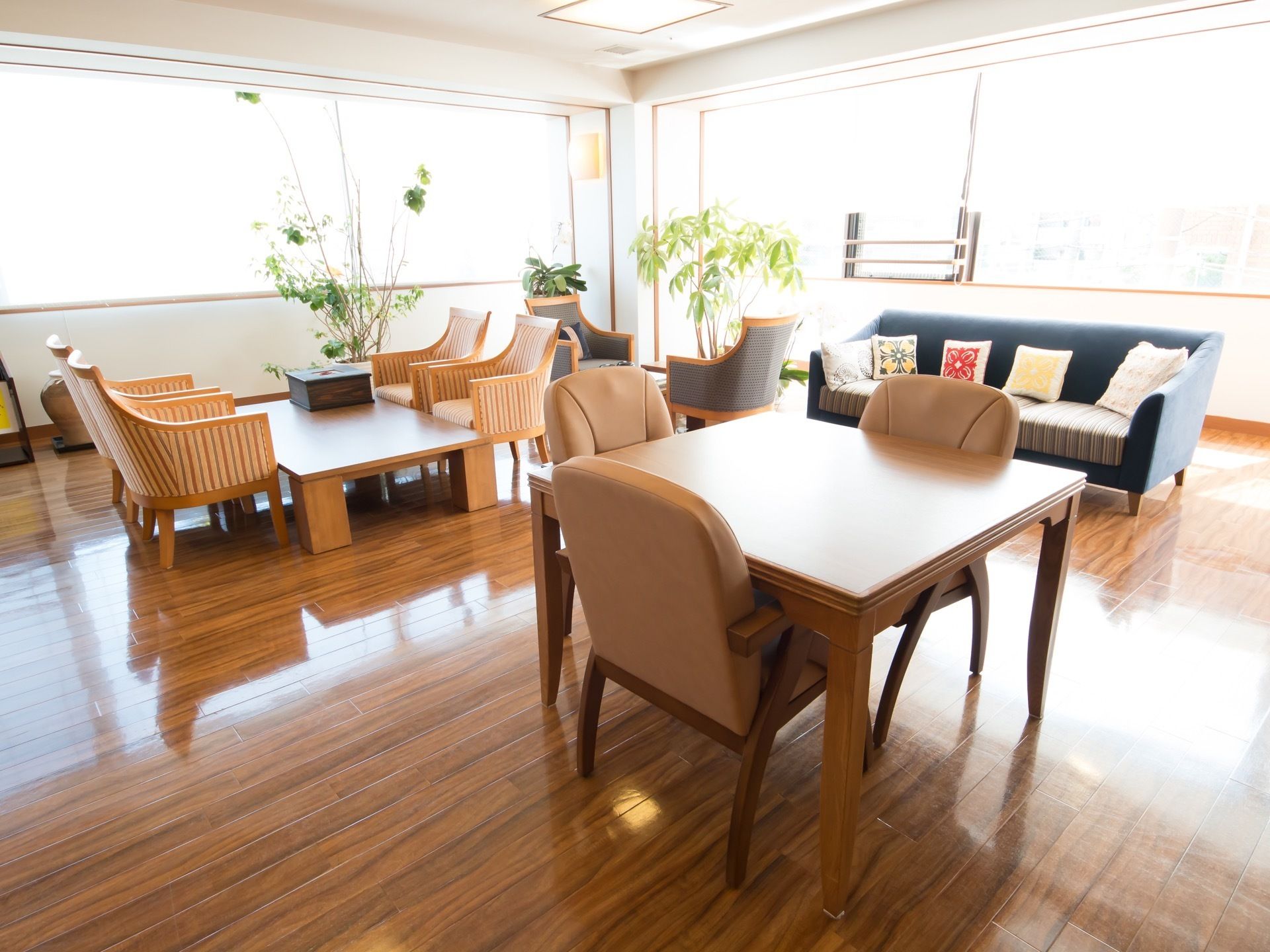 壁の2面に窓がついており、室内には机と椅子のセットと複数人掛けのソファーがある。また、窓際には観葉植物が置かれている。
