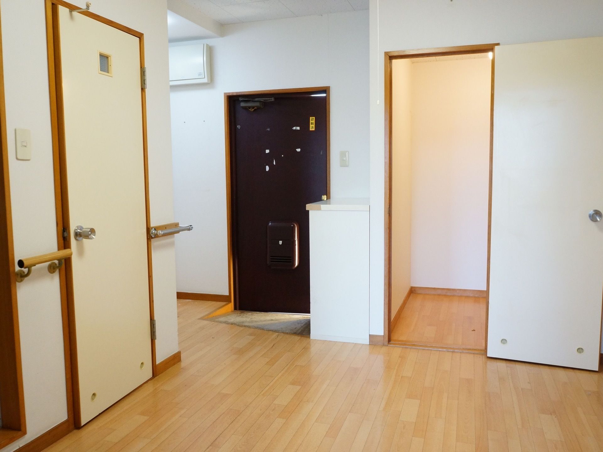 居室の玄関はスロープが付いている。室内は明るい色のフローリングのスペースがある。複数のドアがあり、壁には手すりが取り付けてある。