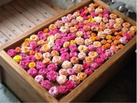 当施設のシンボル、バラのお風呂をご用意している。湯船にいっぱいに贅沢な薔薇を敷き詰めたお風呂を、ゆっくりとご堪能いただける。