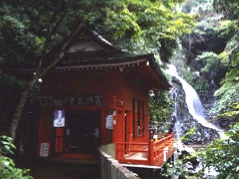 背の高い木や葉が生えた緑豊かな場所には渓谷もあり、自然があふれている。そこに朱色のお堂があり、目立っている。
