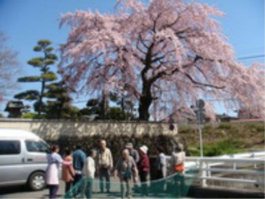 アクティビティ