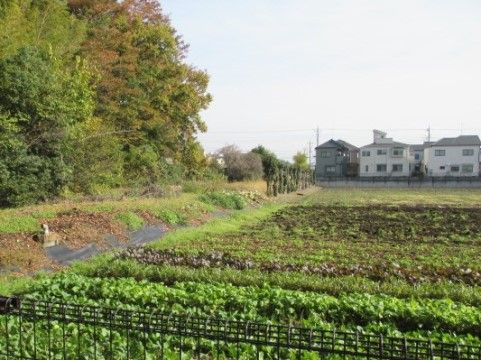 庭の緑と建物の外観