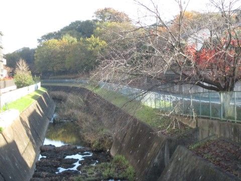 「オアシスランド八王子片倉」の周辺環境。近くには川が流れていたりと、自然も充実している。