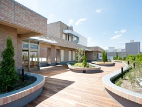 植物も植えられ、ウッドデッキが広がる開放感のある屋上スペース