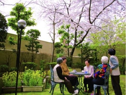 屋外スペースで、桜を鑑賞しながら談笑するご入居者様