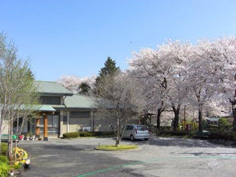 施設の前には、車のロータリーと桜の木がたくさん植えられたエントランス前の風景