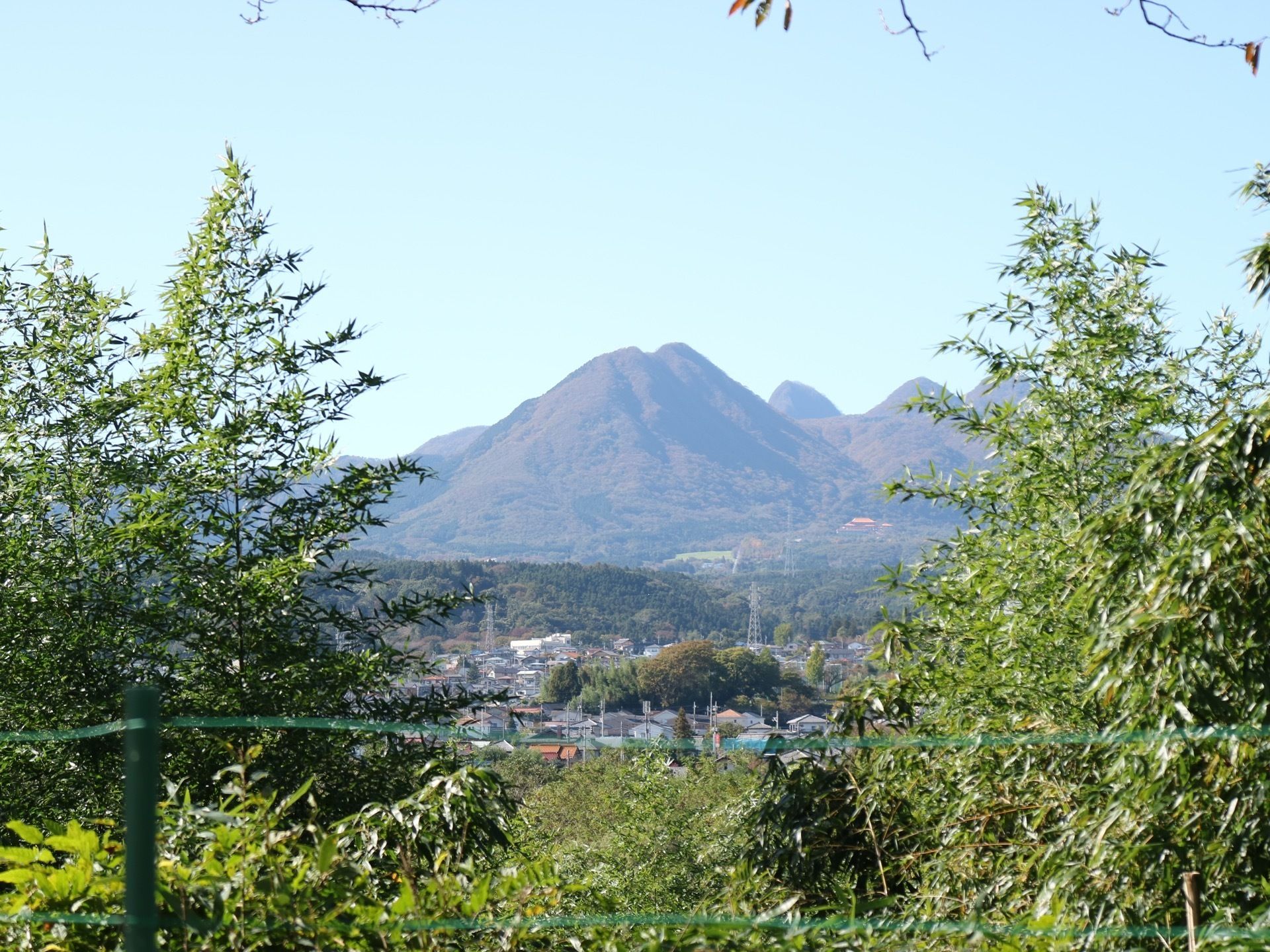 生い茂る笹の間から遠くの景色を眺めることができる。正面に山があり、麓に家々が建ち並んでいるのが見える。