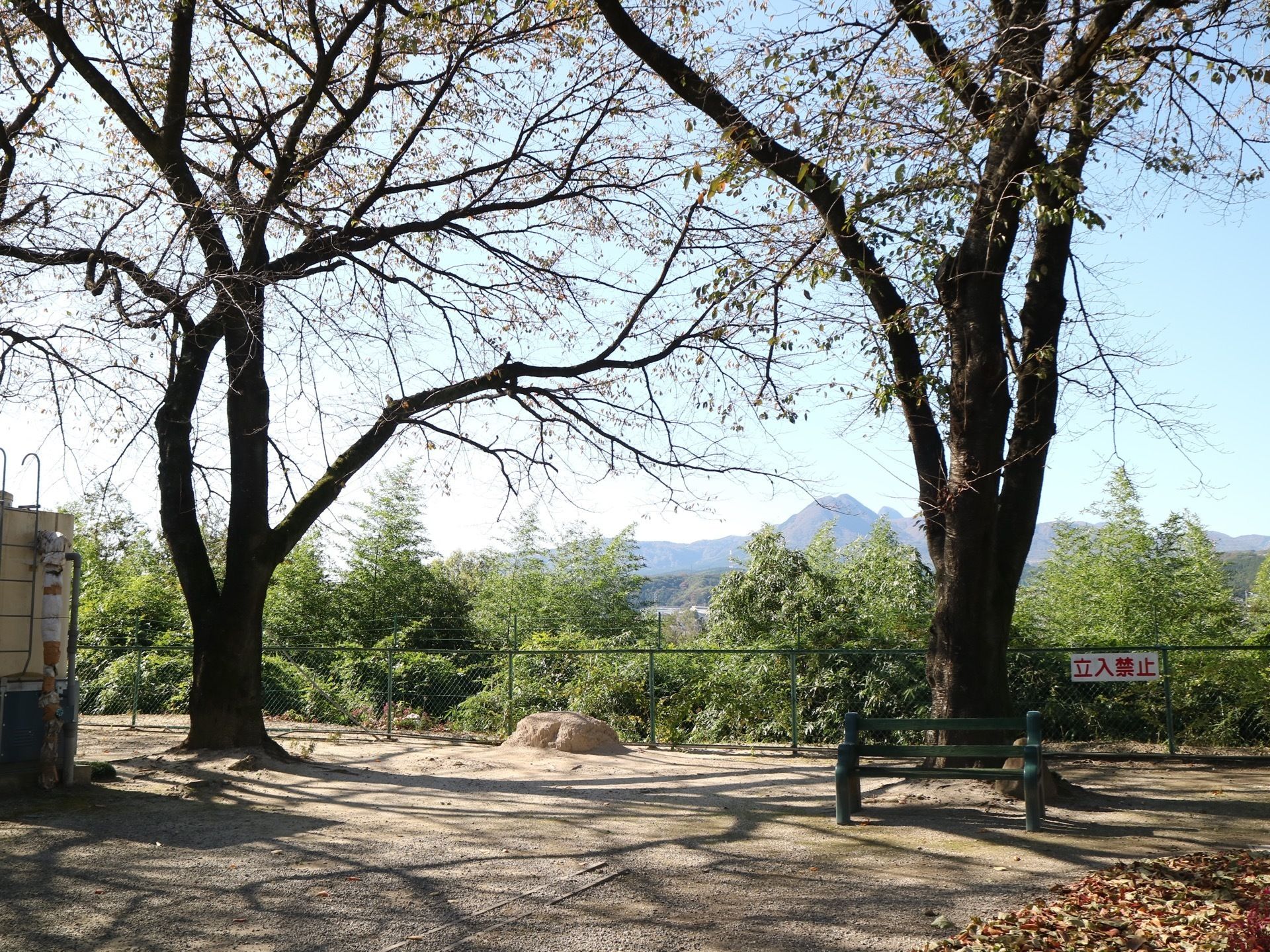 大木が２本ある広場に緑色のベンチが置いてある。金網のフェンスの向こう側に竹林が茂っており、遠くに山が見える。
