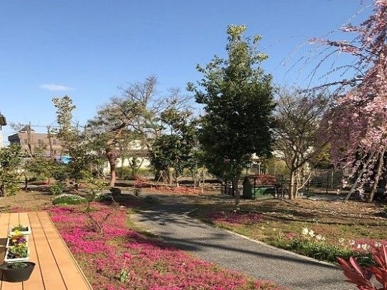 様々な種類の草花が植えられ、桜が満開を迎えた庭園内の小道