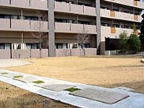 こんにちはの園芸畑。日々のレクリエーションにて土いじりをこちらでおこなっております。
