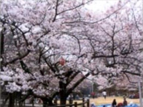 こんにちはの周辺環境。定期的にスタッフとお出かけをお楽しみいただける外出イベントがございます。