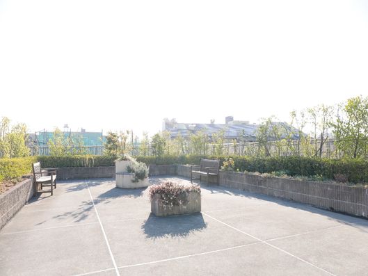 屋上庭園