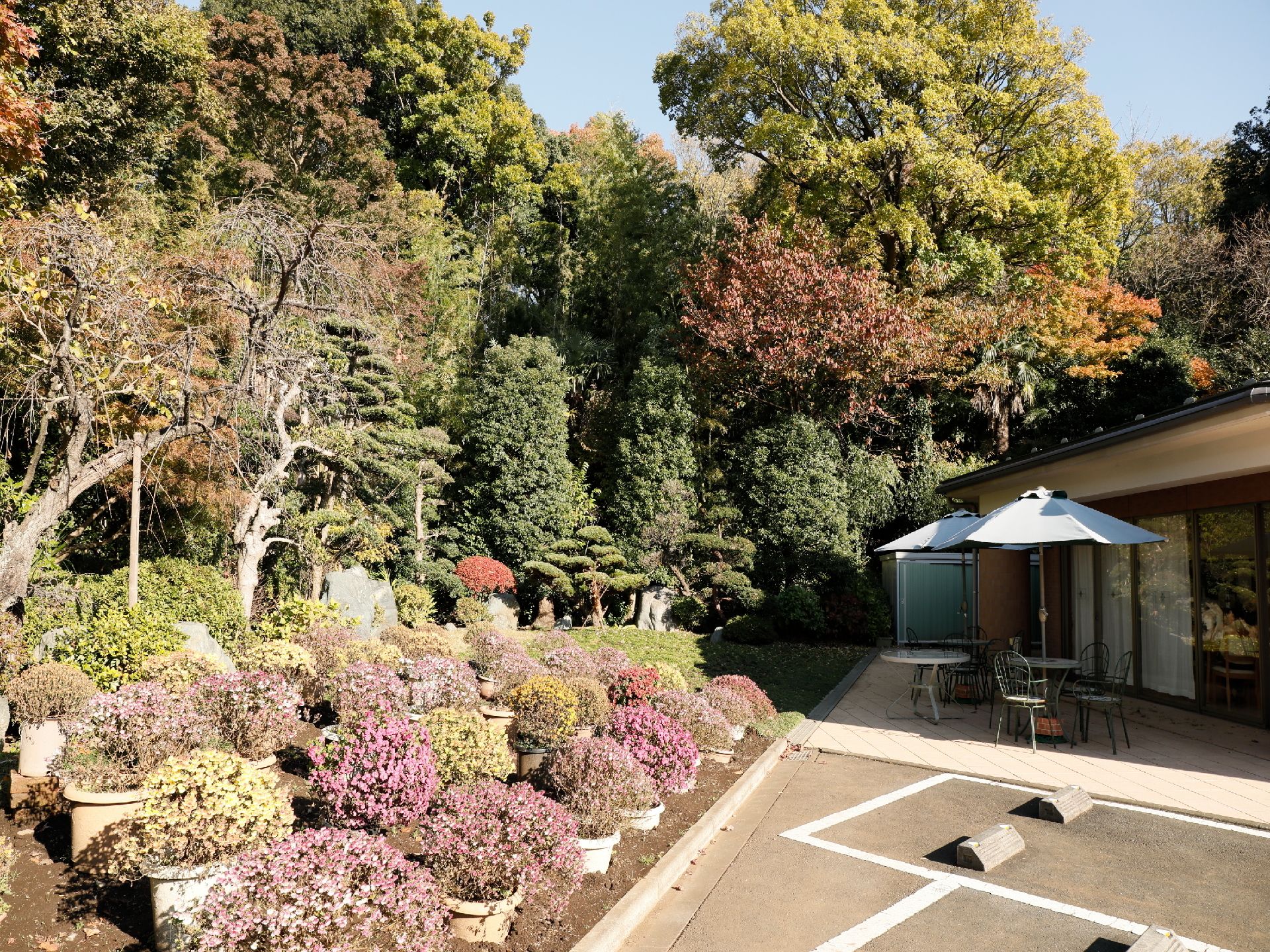 敷地内には豪華な庭園があり、大小さまざまな樹木が植えられている。四季折々、年間を通じて楽しむことができる。