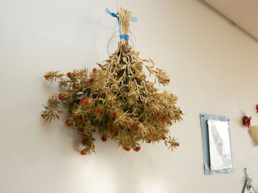 ドライフラワー