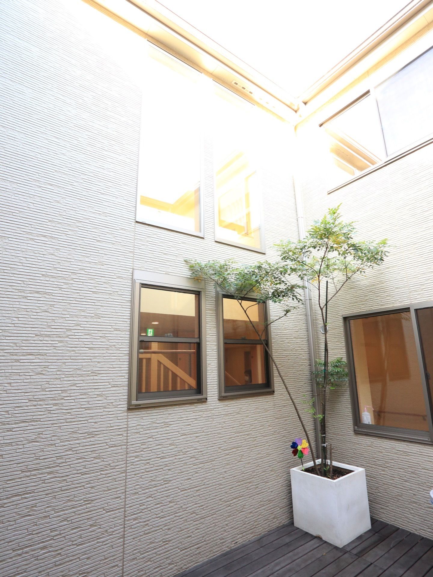 建物間に作られている中庭である。スペースの角には、白いスクエアの形の植木鉢に、華奢な植物が植えられている。