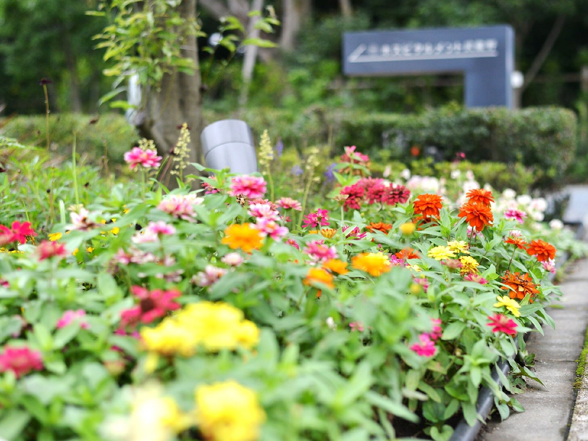 庭には多くの観葉植物や草花があり、季節によって様々な景色を楽しめる。階段には手すりもついているので、安心して通行できる。