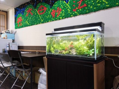 「御所南マリアヴィラ」水槽。ミニ水槽の中には、縦横無尽に泳ぎ回るお魚がいます。