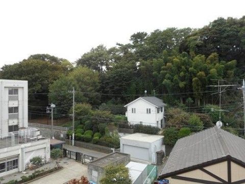 西側の景色は、木々の緑が入居者様の目を癒してくれる。自然が豊かで、生活するには環境の良い場所である。