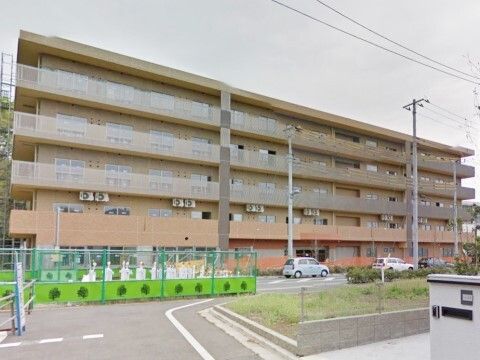 茶碗と箸を手に取り食事をする高齢の男女
