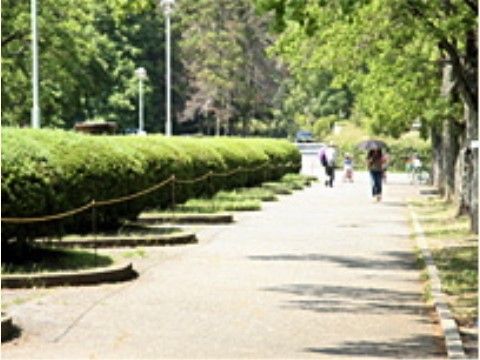 自然豊かな地域でたくさんの公園があり、ゆったりと森林浴をしながら散歩ができる公園など、その日によってお散歩先を変えて楽しむことができる。