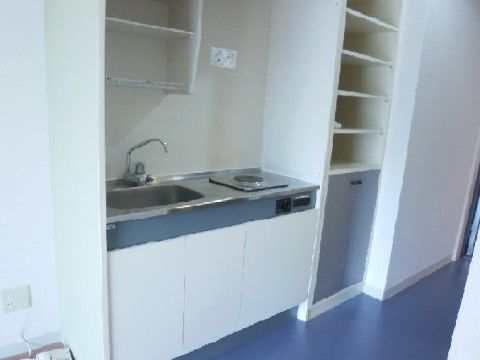混合水栓の流しと、電磁調理器がついた台所で、下は扉が付いた収納になっている。更に上にも棚がある。右には作り付けの収納もある。