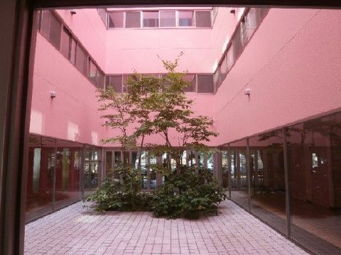中庭は床が白いタイル張りで、ガラス窓が嵌った廊下が囲んでいる。中には背の高い木を中心にした植え込みがある。