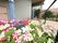 花壇に季節の花が咲いている。その横には遊歩道があり、自立式の黒い手すりが設置されている。