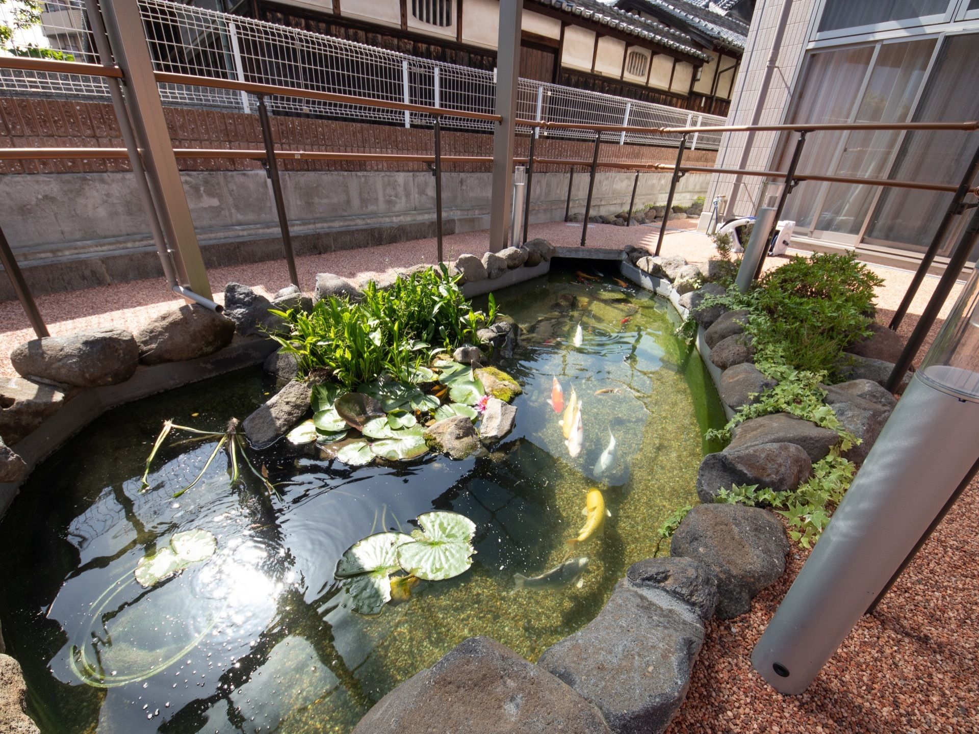 中庭には池がある。池の中では色とりどりの鯉が泳いでいる。まわりに大きな石が並べられ、植物が植えられているところもある。