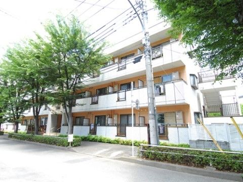 街路樹があり、緑豊かな環境に建つ、３階建ての施設の外観