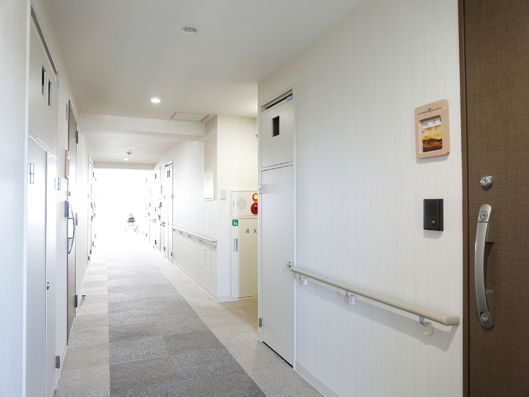 建物内の廊下と各戸の扉