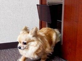 アビタシオン千葉の医療体制。医師と看護師３人組。