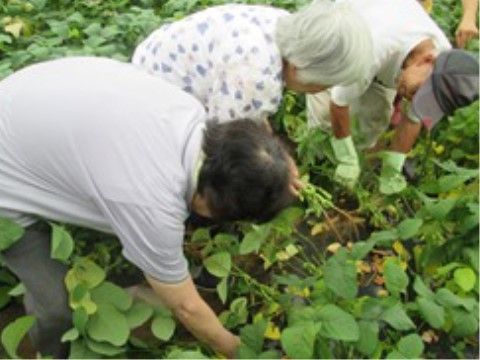 「グループホームあやめ」スタッフ。皆様の安心かつ安全な生活は、私たちにお任せください。