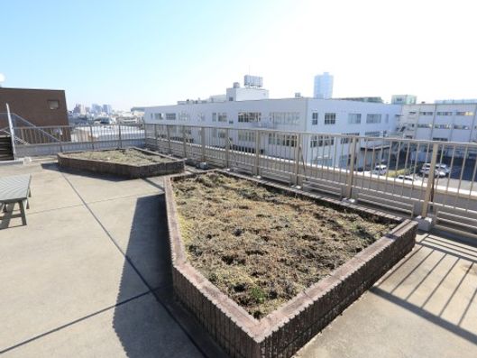 屋上庭園