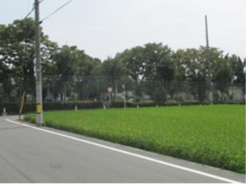 施設の近くには道路に隣接した田んぼがある。周辺には大きな建物はなく、静かでゆっくりとお過ごしいただける環境である。