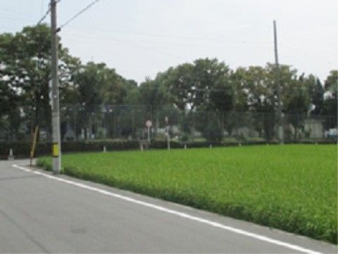 道路脇に青々とした田んぼが広がっている。前方には木々が生い茂り、沢山の緑に囲まれた風景を見ることができる。