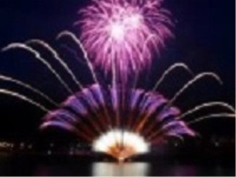 夜空を照らす大きな紫の打ち上げ花火