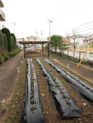 行事にも活躍するガーデン